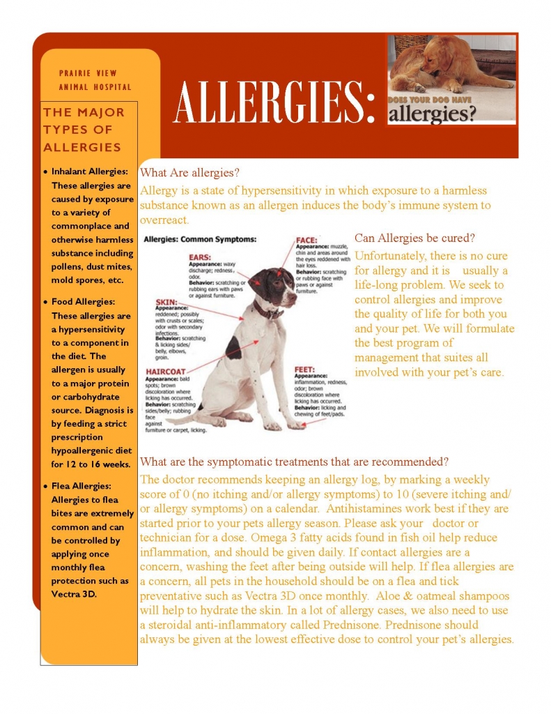 Allergies treated at Prairie View Animal Hospital