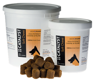 Catalyst chews sold at Prairie View Animal Hospital