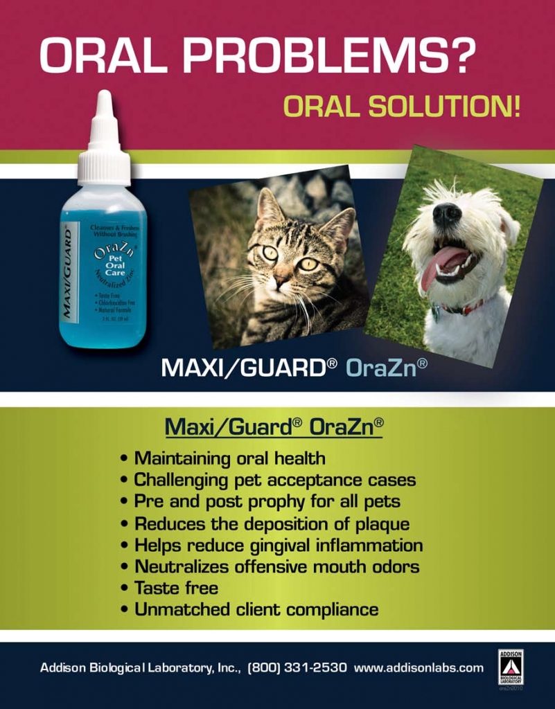 Oral care made easy: Prairie View Animal Hospital carries Maxiguard OraZn Oral care made easy: Prairie View Animal Hospital carries Maxiguard OraZn