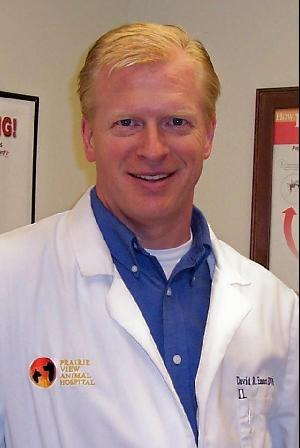 Dr. David Emmert 